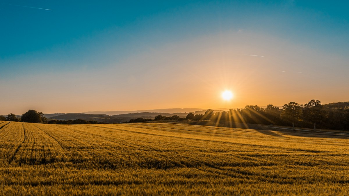 Felder bei Sonnenuntergang in Meerbusch